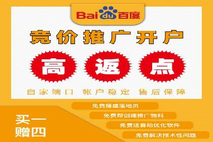 谷歌竞价案例：成功案例分析及启示